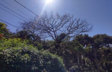 Casa á Venda em Bombinhas