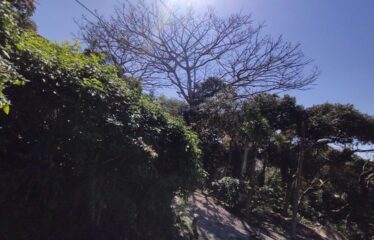 Casa á Venda em Bombinhas