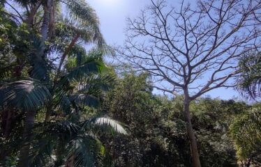 Casa á Venda em Bombinhas
