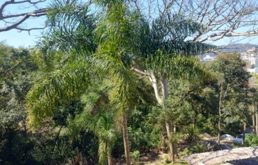 Casa á Venda em Bombinhas