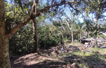 Casa á Venda em Bombinhas