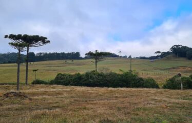 Terreno a Venda em Rancho queimado com 271.227,95 metros quadrados