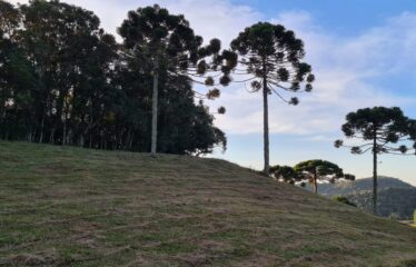 Terreno a Venda em Rancho queimado com 271.227,95 metros quadrados