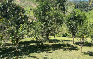 SÍTIO COMPLETO A VENDA EM MAJOR GERCINO – CONFORTO, LAZER E CONTATO COM A NATUREZA!