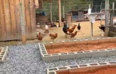 SÍTIO COMPLETO A VENDA EM MAJOR GERCINO – CONFORTO, LAZER E CONTATO COM A NATUREZA!