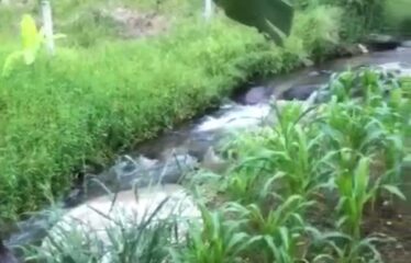 SÍTIO COMPLETO A VENDA EM MAJOR GERCINO – CONFORTO, LAZER E CONTATO COM A NATUREZA!